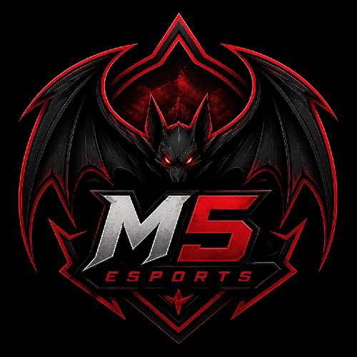 M5 Esports    ㅤ