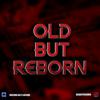 OldButReborn logo
