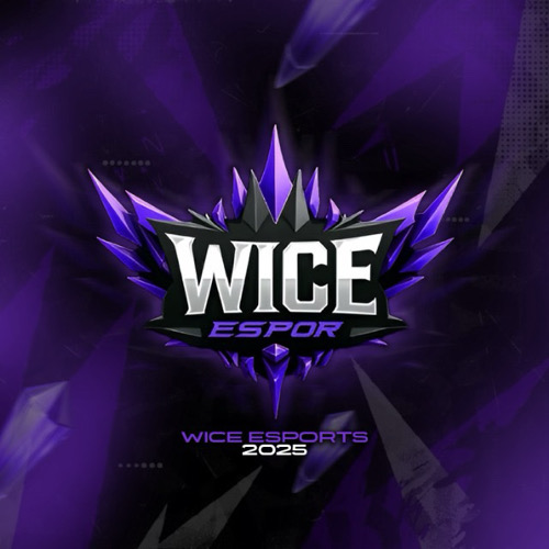 WİCE ESPORTS