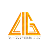 LIG ESPORTS logo