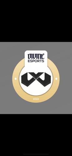 Divine Esports logo