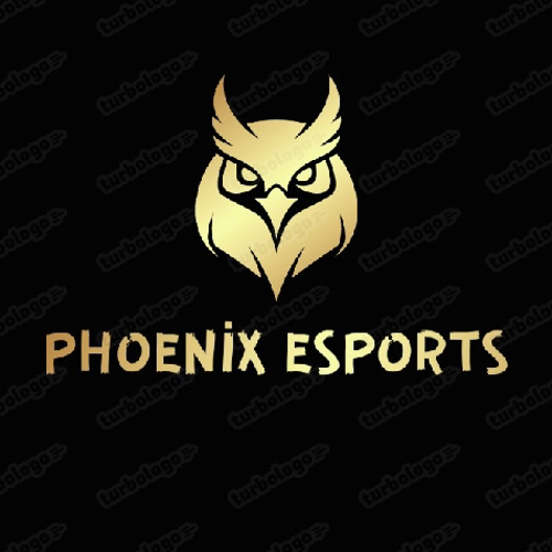 PHOENİX ESPORT