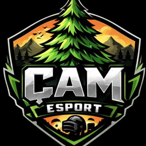 ÇAM esports