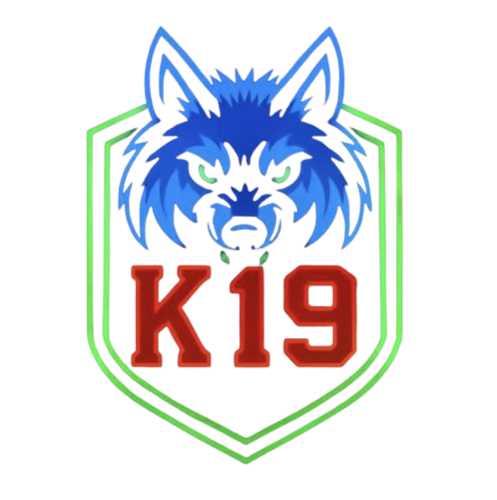 K19 ESPORT