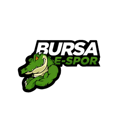 BURSA ESPOR