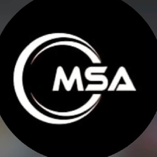 MSA E SPORTS