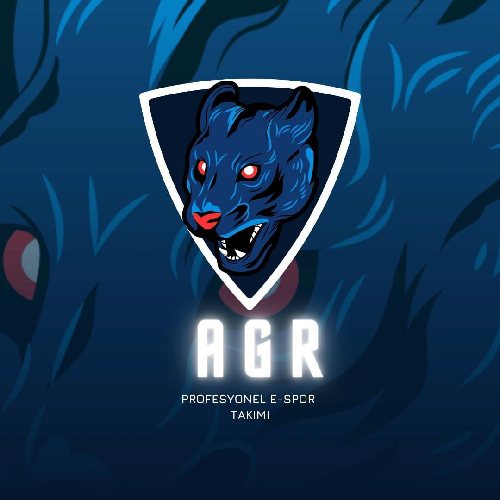 AGR E-SPOR