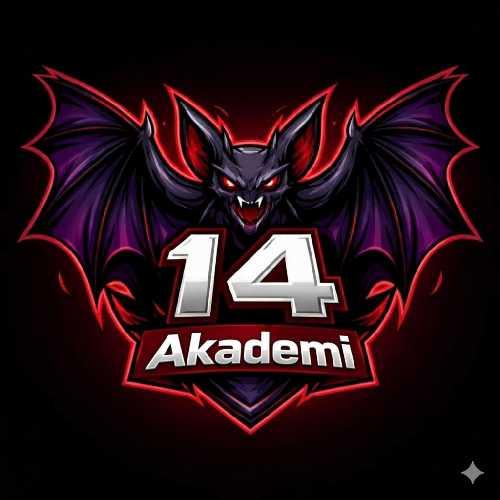 14 AKADEMİ