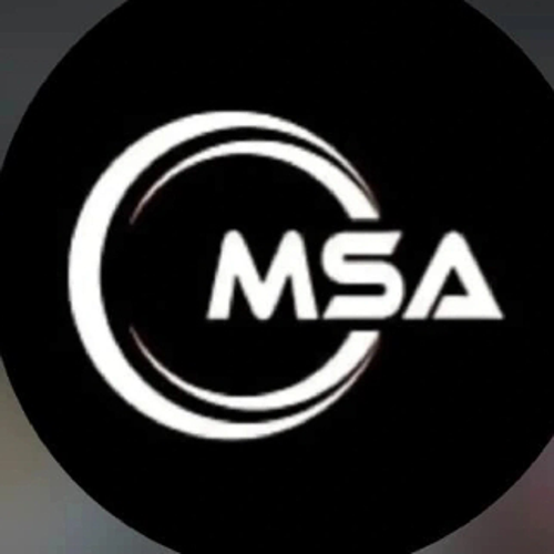 MSA E SPORTS