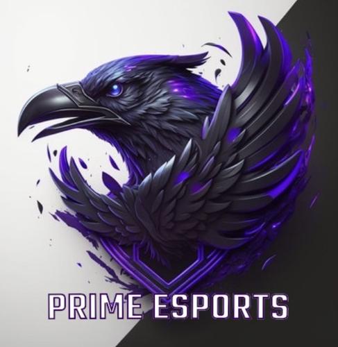 Prıme Esports