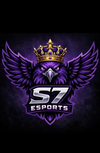 S7 E-SPORTS 🦉