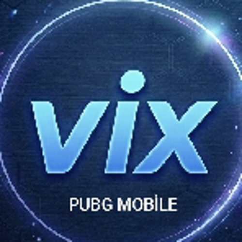 VİX Esports