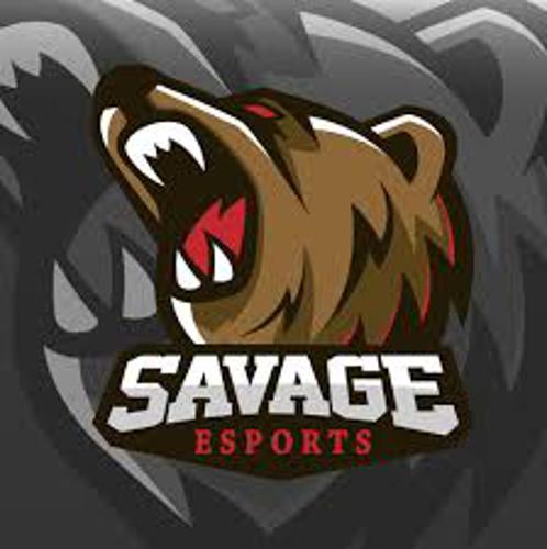 Savage Esports logo