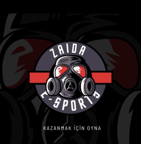 ZAIDA logo