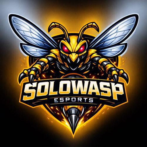 SOLOWASP ESPORTS