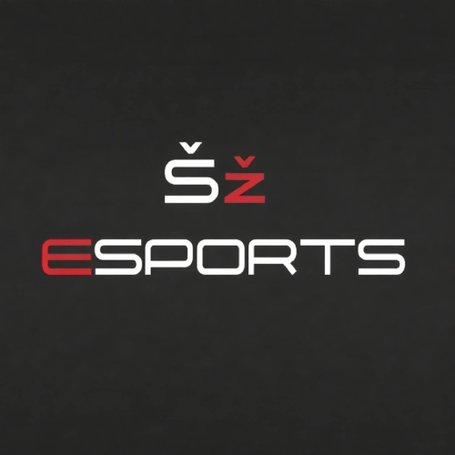 Šž E-sport