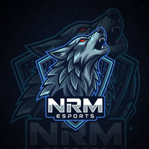 NRM Esports