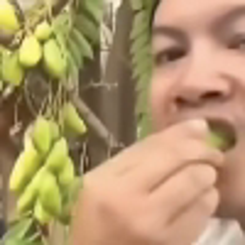 emmoo