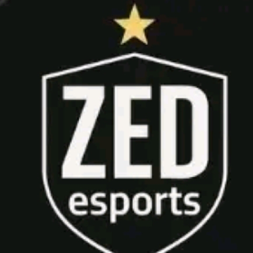 ZEDESPORTS