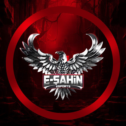 E-ŞAHİN STARS