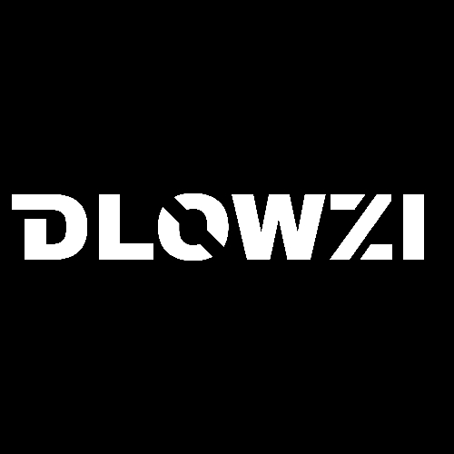 DLOWZİ TEAM