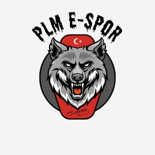 PLM Espor