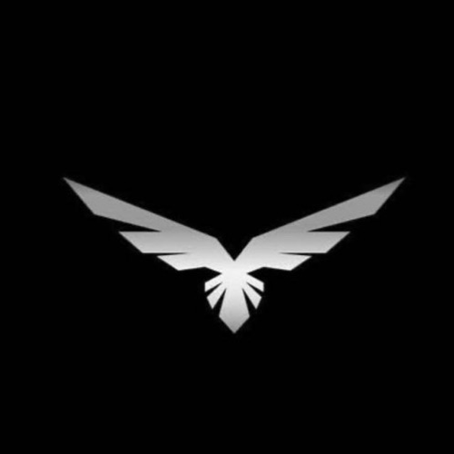 UNİTED FORCES ESPORTS