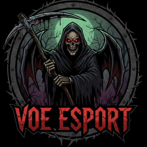 VOE ESPORTS