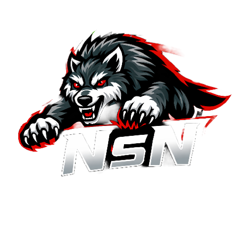 NSN E-SPORT