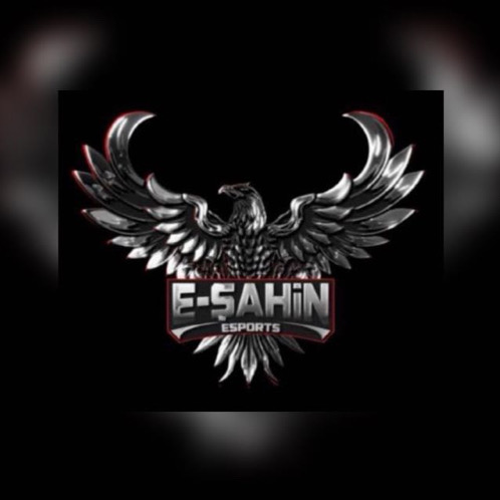 E-ŞAHİN E SPORTS
