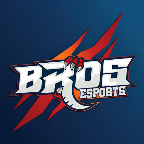 BROS ESPORTSS