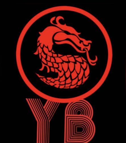 Young Boys logo