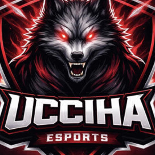 UCCİHA ESPORTS