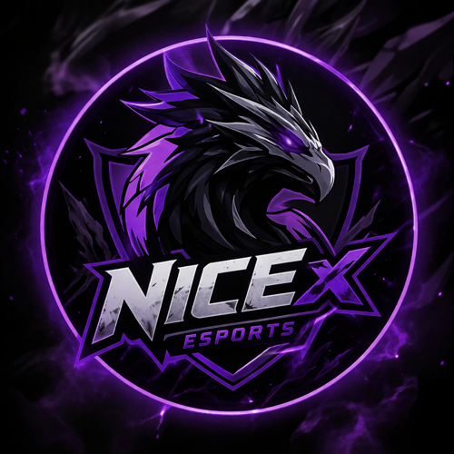 NİCEX esports