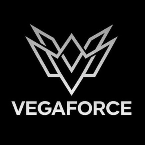 VEGA FORCE ESPORTS