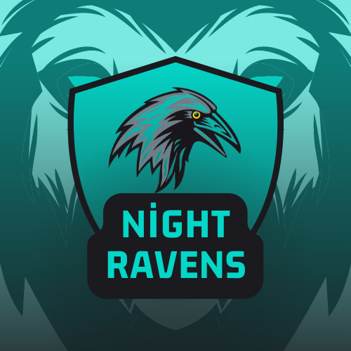 Night Ravens logo