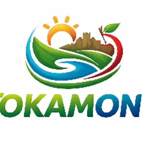 tokamonuordu e-spor