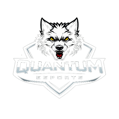 QUANTUM ESPORTS | 就qnt
