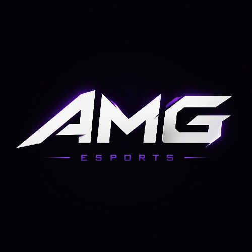 AMG ESPORTS