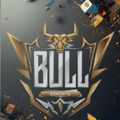 BULL TALENT