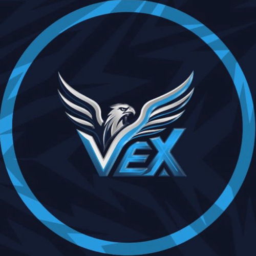 VEX ESPORTSS