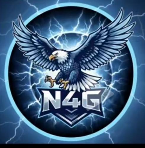N4G ESPORTS
