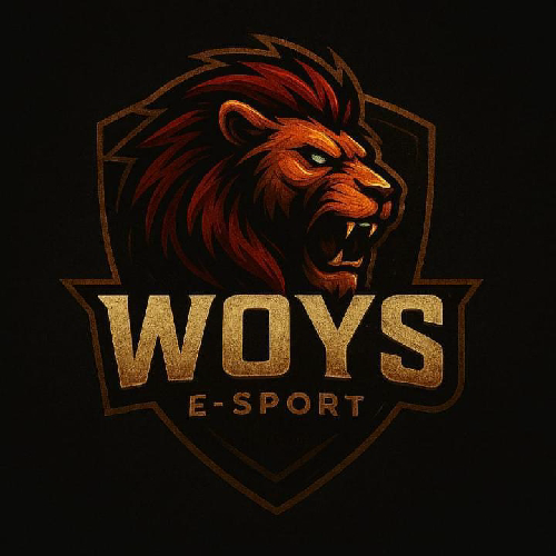 Woys E-sport
