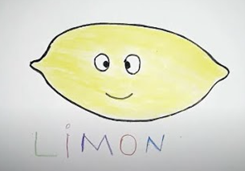 Limon Sıkacağı logo