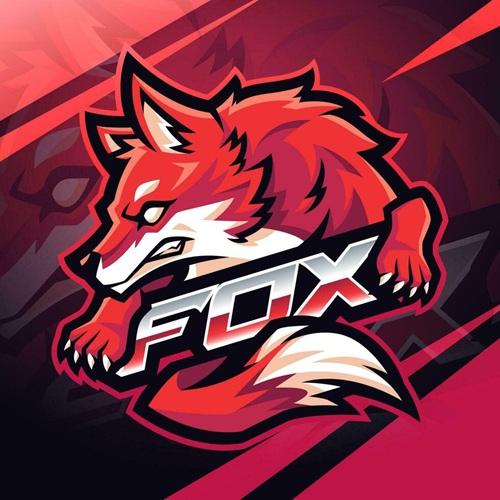 TeamFox