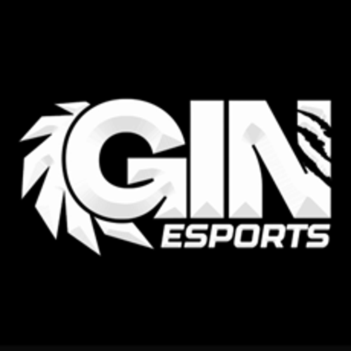 GIN E-SPORTS
