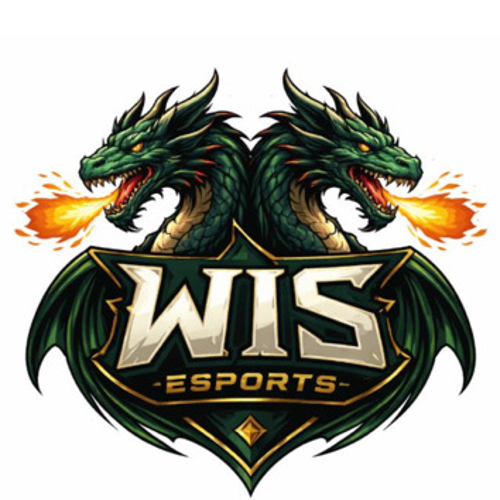 WİS esport