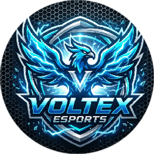 Voltex Esports