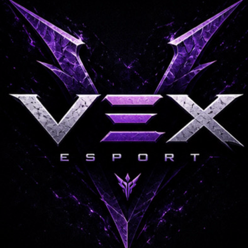 VEX Esportsss