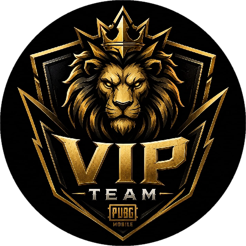 VIPTEAM